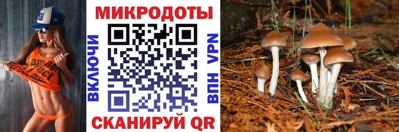 Галлюциногенные грибы мухоморы  Купить закладки  Севастополь 